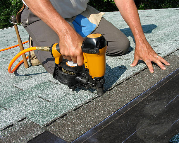 Best Roof Gutter Cleaning  in Pine Lawn, MO