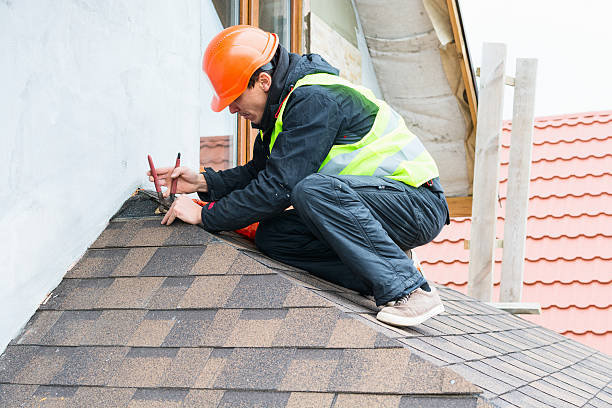Best Roof Maintenance Services  in Pine Lawn, MO